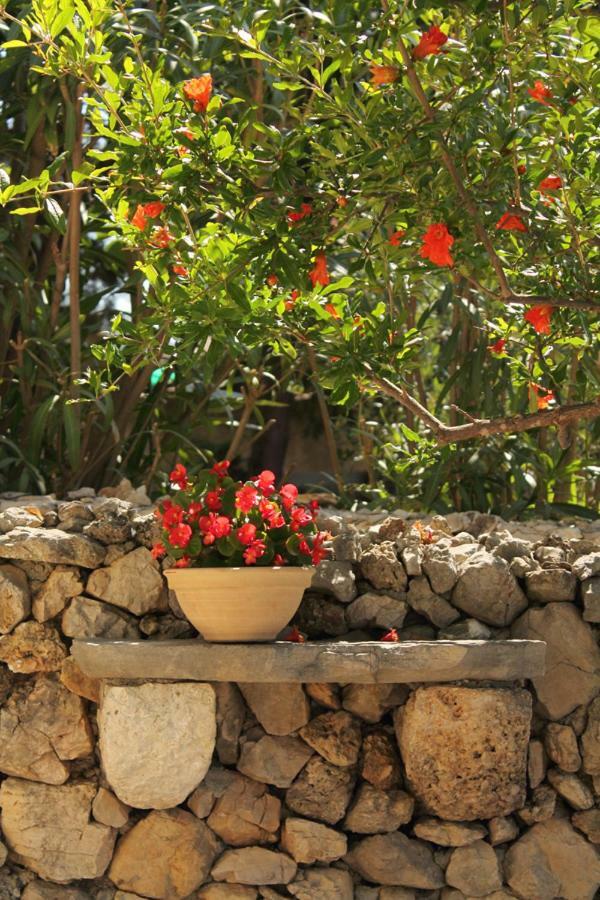 Apartments Nejasmic - Little House For Peaceful And Domestic Vacation بول المظهر الخارجي الصورة