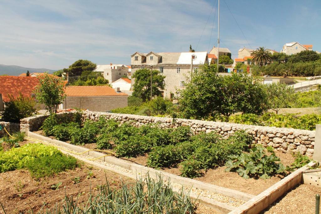 Apartments Nejasmic - Little House For Peaceful And Domestic Vacation بول المظهر الخارجي الصورة
