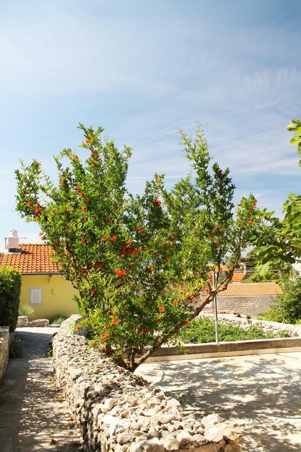 Apartments Nejasmic - Little House For Peaceful And Domestic Vacation بول المظهر الخارجي الصورة